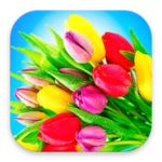 Logo of Flowers Stickers for WhatsApp android Application 